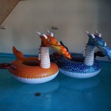 Dragon-Pool-Float-Fire---ICE