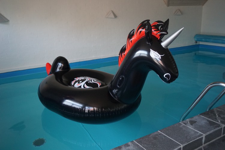 Inflatable-Gothic-Unicorn-Pool-Float.jpg