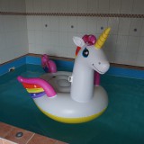 Intex-Mega-Unicorn-Island