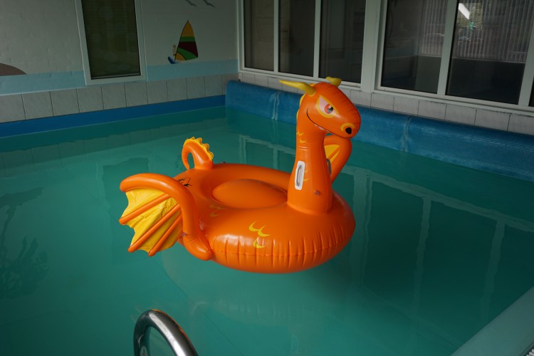 Kids-Dragon-Party-Pool-Float.jpg