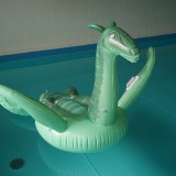 Plesiosaur-Ride-ON