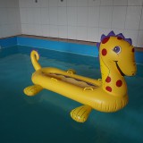 Royalbeach-Yellow-Sea-Horse